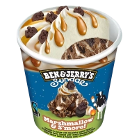 Marshmallow & Smore! 465ml